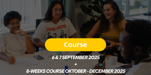3X3 Mentor Course