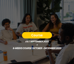 3X3 Mentor Course